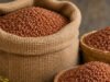 Palakkadan matta rice wholesale UAE