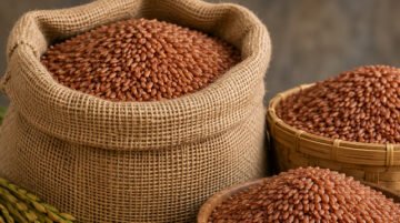 Palakkadan matta rice wholesale UAE