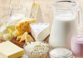 Best Dairy products distributor Dubai