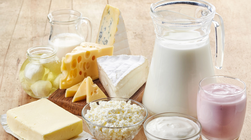 Best Dairy products distributor Dubai